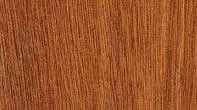 Brazilian Mahogany